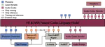 HAM-TTS: Hierarchical Acoustic Modeling for Token-Based Zero-Shot Text-to-Speech with Model and Data Scaling