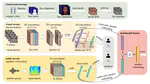 DeepLip: A Benchmark for Deep Learning-Based Audio-Visual Lip Biometrics