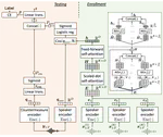 Spoofing-Aware Attention based ASV Back-end with Multiple Enrollment Utterances and a Sampling Strategy for the SASV Challenge 2022